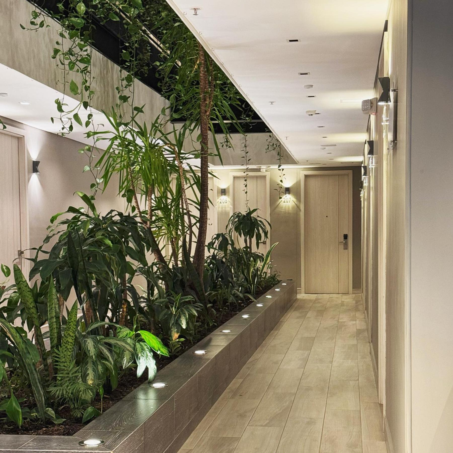 4 Sur Hotel 麦德林 外观 照片